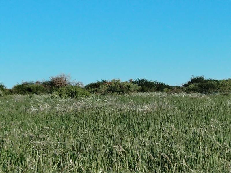 Well-developed livestock farm near Kenhardt, Northern Cape. - Photo 9