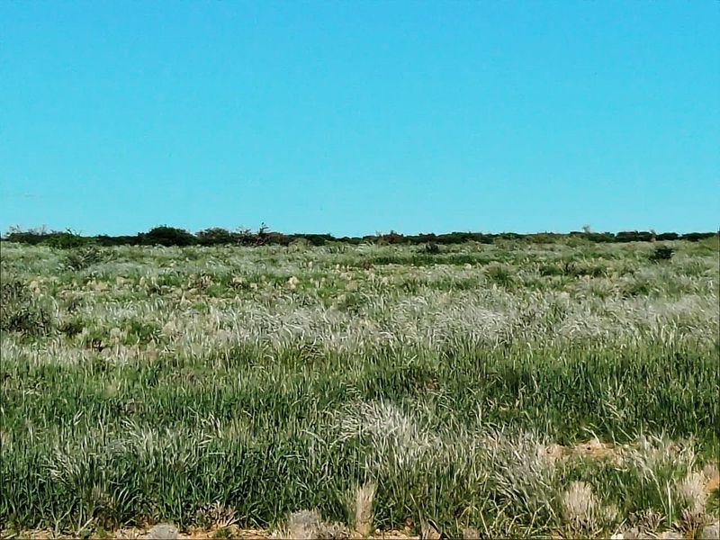 Well-developed livestock farm near Kenhardt, Northern Cape. - Photo 8