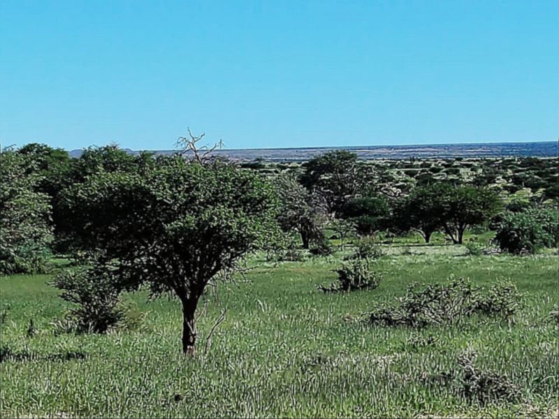 Well-developed livestock farm near Kenhardt, Northern Cape. - Photo 7