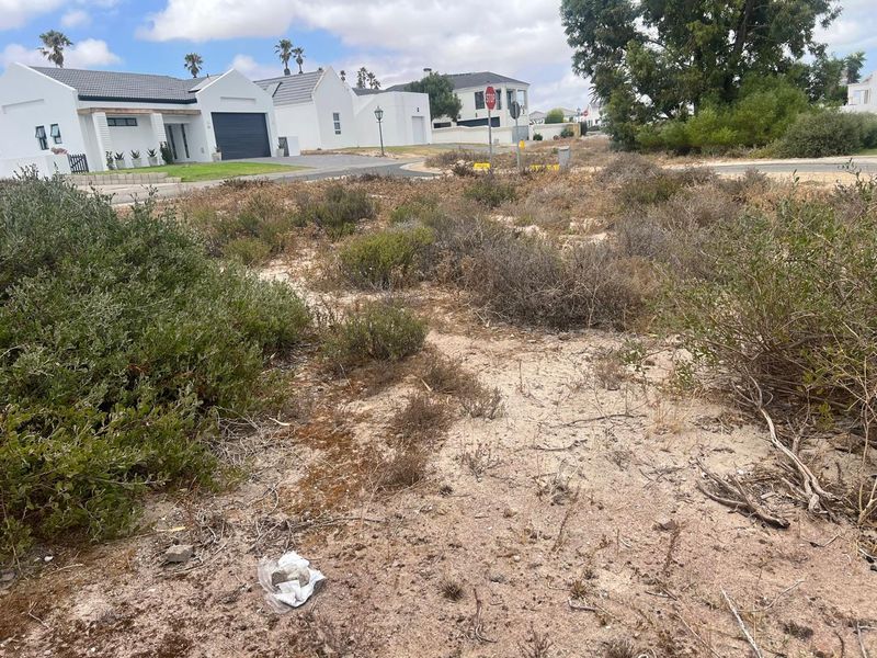 PLOT & PLAN NEW DEVELOPMENT FOR SALE SHELLEY POINT ST HELENA BAY - Photo 8