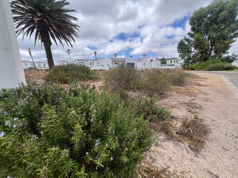 PLOT & PLAN NEW DEVELOPMENT FOR SALE SHELLEY POINT ST HELENA BAY - Photo 7