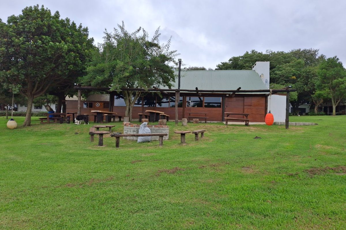 Live your dreams on this Lifestyle Smallholding (Guest farm)  - Photo 5