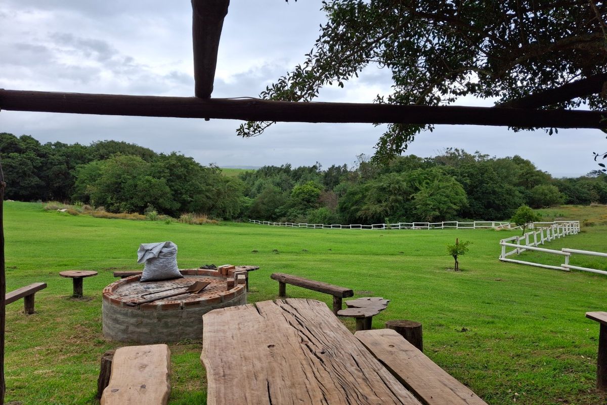 Live your dreams on this Lifestyle Smallholding (Guest farm)  - Photo 3