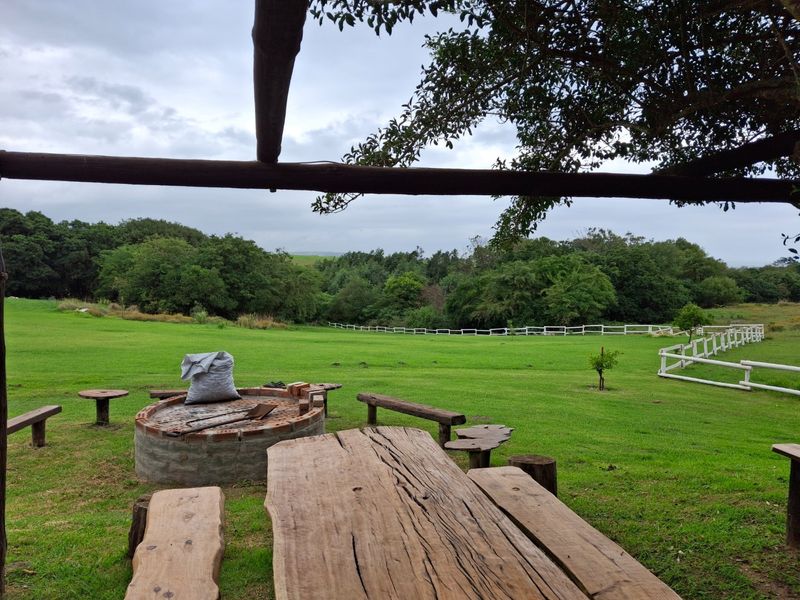 Live your dreams on this Lifestyle Smallholding (Guest farm)  - Photo 3