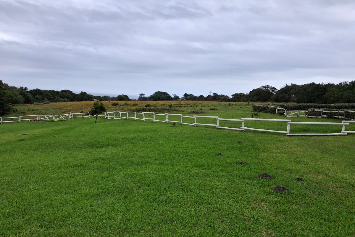 Live your dreams on this Lifestyle Smallholding (Guest farm)  - Photo 4