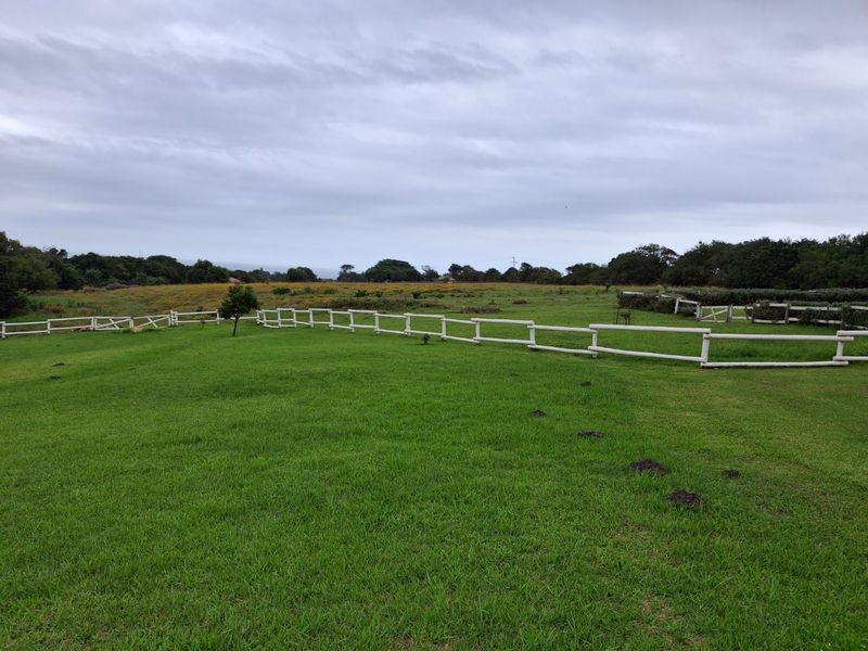 Live your dreams on this Lifestyle Smallholding (Guest farm)  - Photo 4