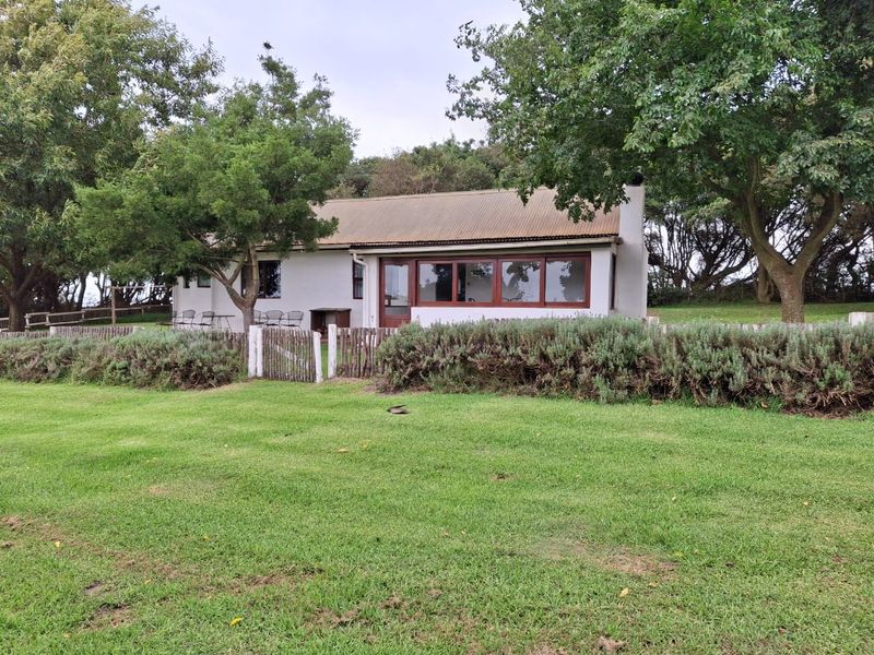 Live your dreams on this Lifestyle Smallholding (Guest farm)  - Photo 6