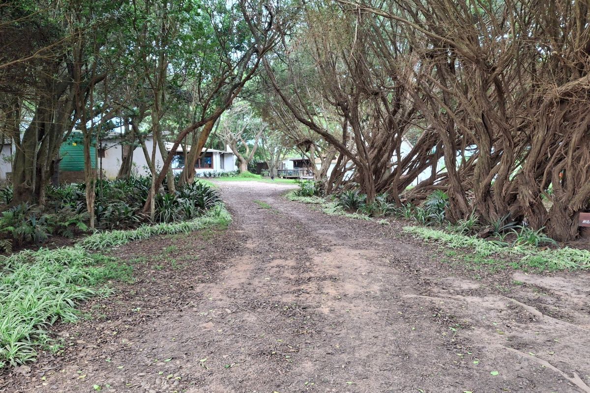 Live your dreams on this Lifestyle Smallholding (Guest farm)  - Photo 2