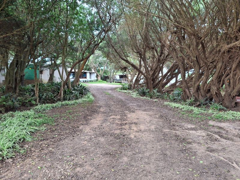 Live your dreams on this Lifestyle Smallholding (Guest farm)  - Photo 2