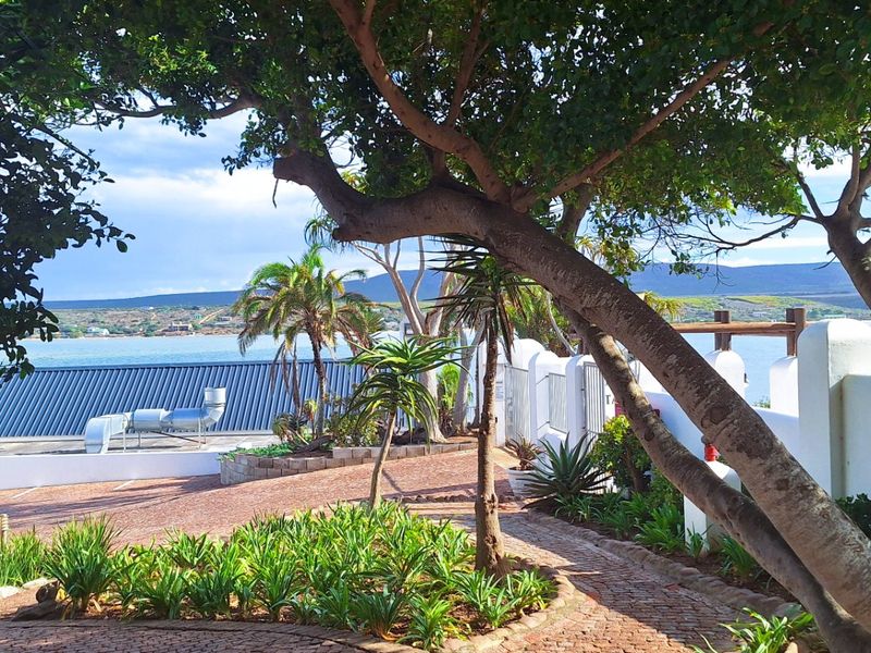 Adorable cottage with a place in the Harbour to moor your boat! - Photo 5