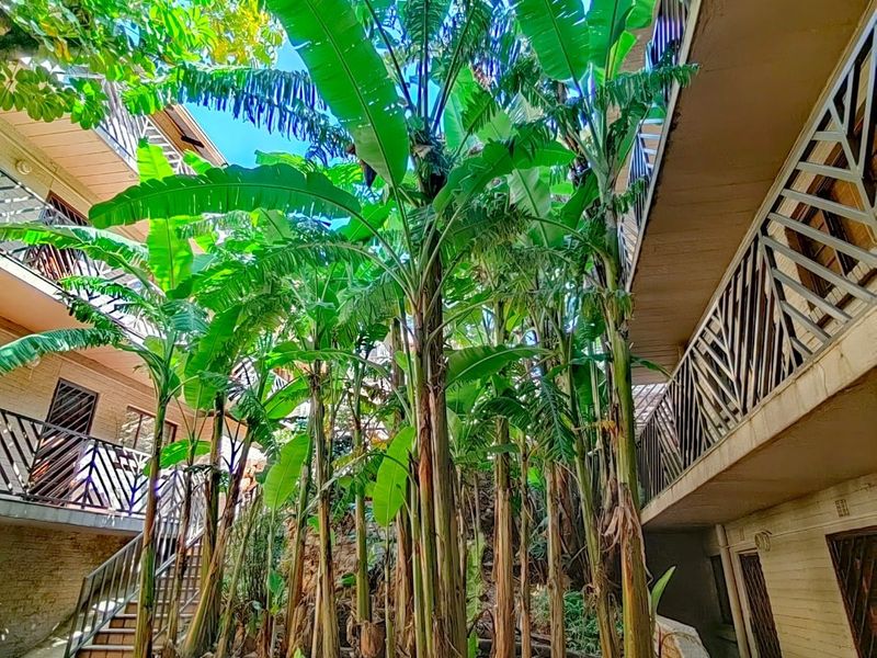 0 Bed Apartment in Westdene for Rent - Photo 1