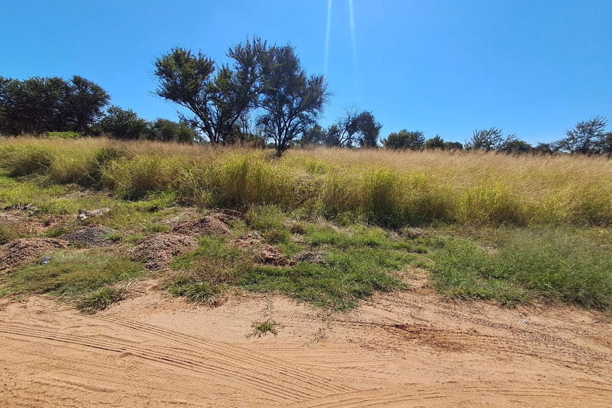 A view of a vacant residential plot featuring natural grass, native trees, and unpaved access road.