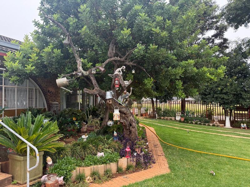Charming Country Living Opportunity in Hartbeesfontein - Photo 1