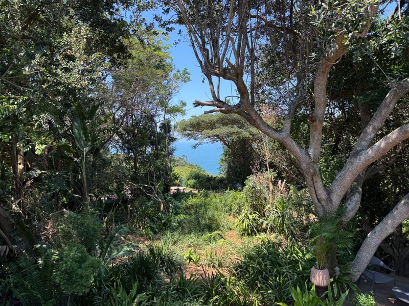 To let in Zimabli, furnished 5 bedroom home in lush surrounds with sea views. - Photo 9