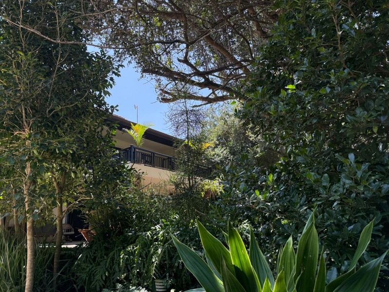 To let in Zimabli, furnished 5 bedroom home in lush surrounds with sea views. - Photo 8