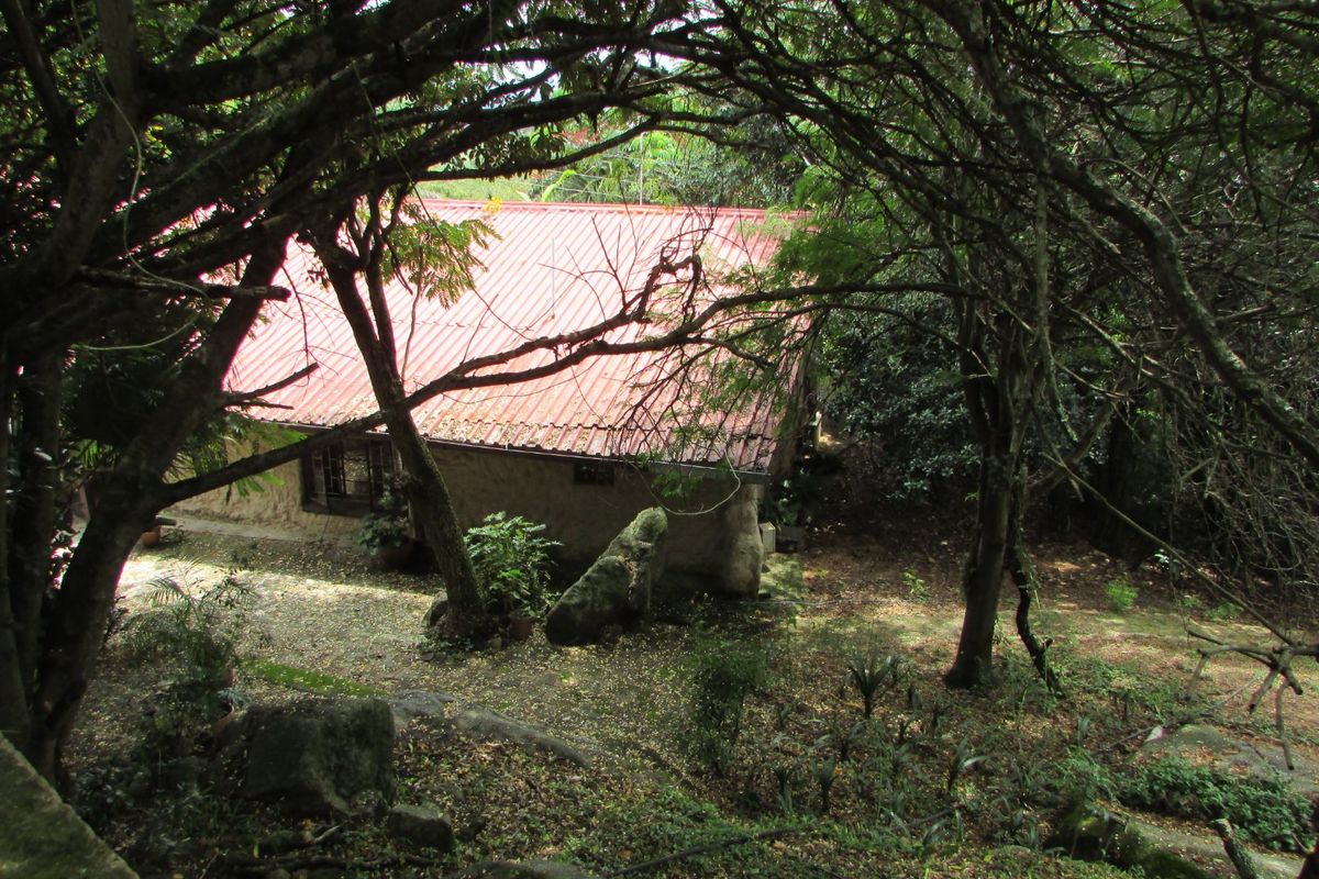 4.1ha Smallholding – Hilltop - Photo 5