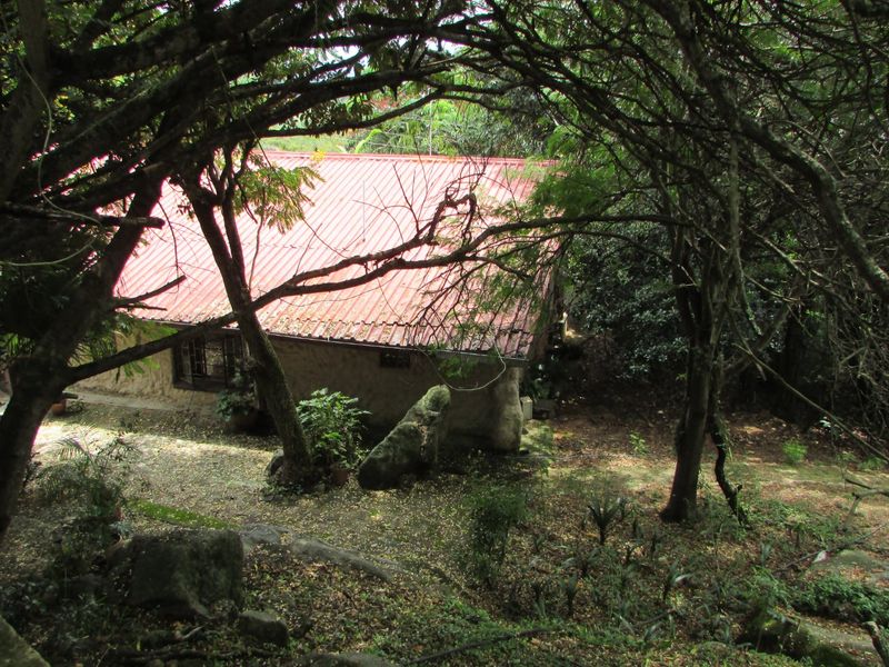 4.1ha Smallholding – Hilltop - Photo 5