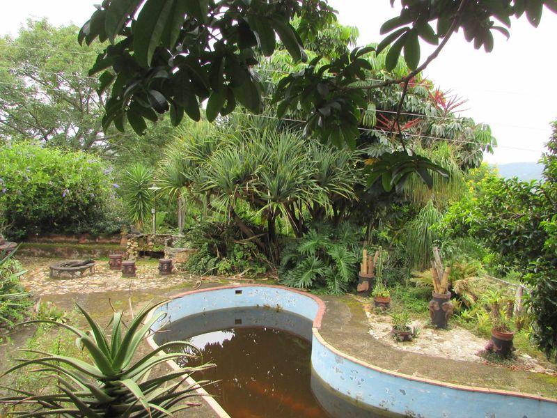 4.1ha Smallholding – Hilltop - Photo 10