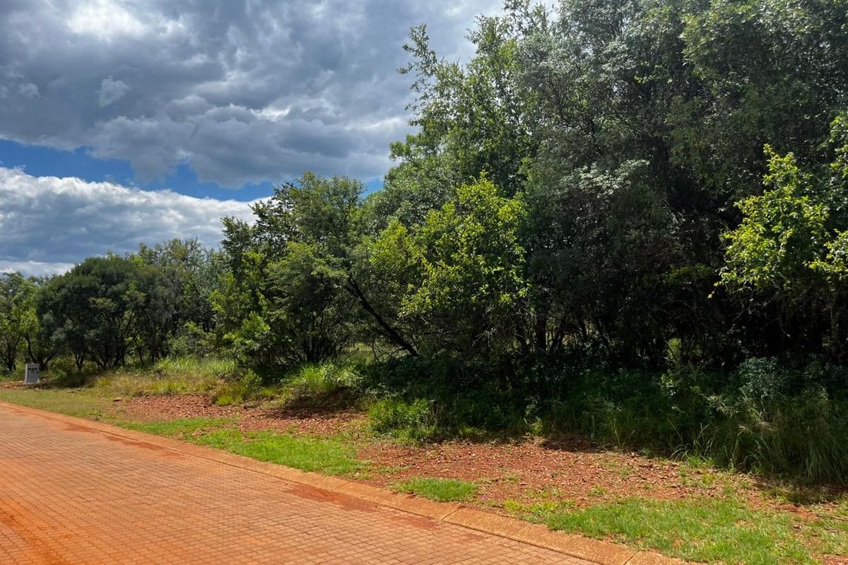 A view of the paved street frontage featuring established trees and natural vegetation on a vacant residential plot.