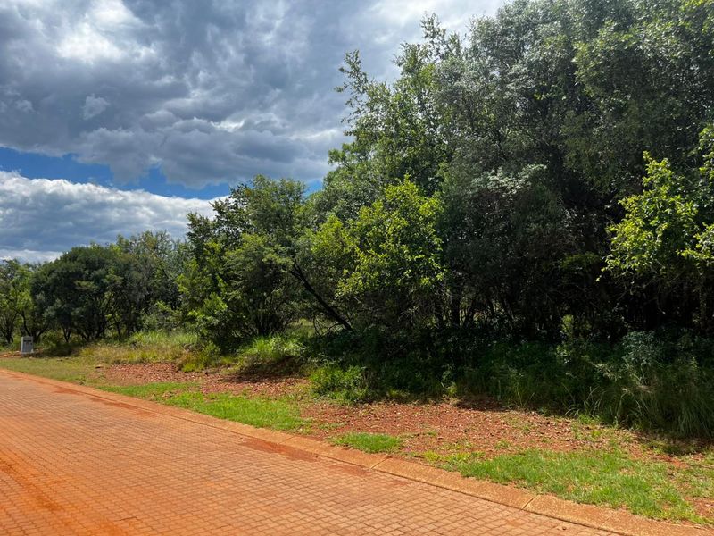 A view of the paved street frontage featuring established trees and natural vegetation on a vacant residential plot.