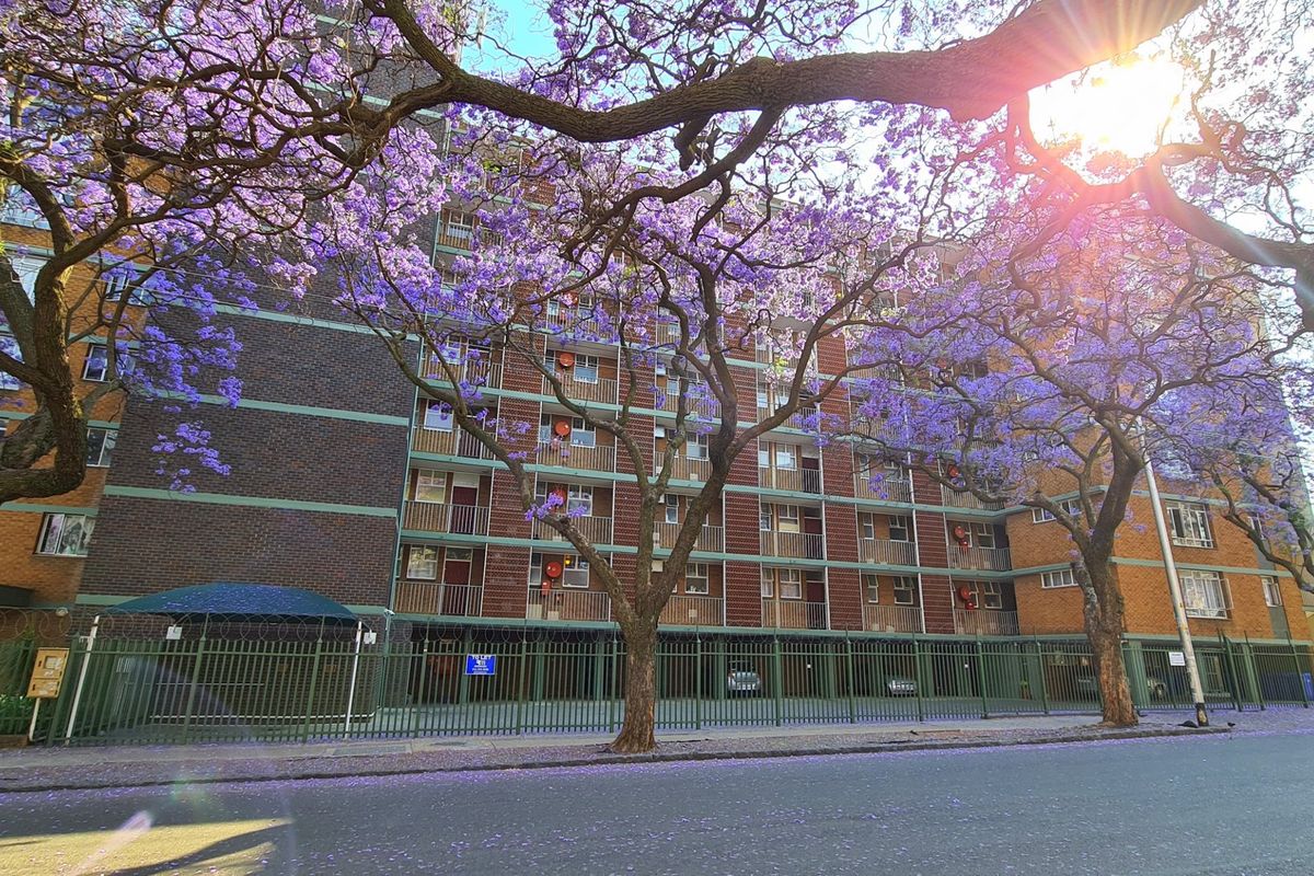 FULL TITLE RESIDENTIAL A-GRADE BUILDING IN SUNNYSIDE: IDEAL FOR STUDENT ACCOMMODATION - 315 BEDS - Photo 2