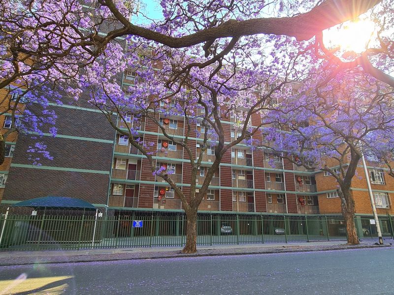 FULL TITLE RESIDENTIAL A-GRADE BUILDING IN SUNNYSIDE: IDEAL FOR STUDENT ACCOMMODATION - 315 BEDS - Photo 2