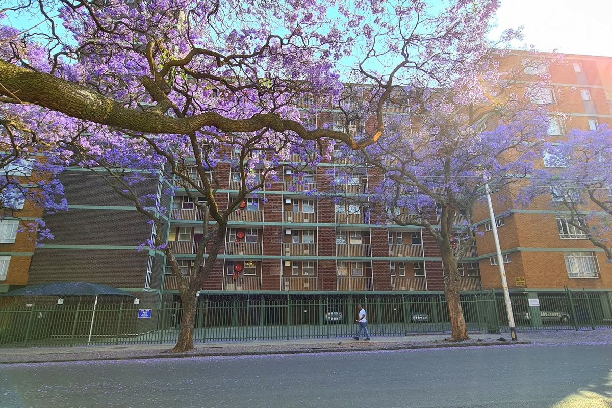 FULL TITLE RESIDENTIAL A-GRADE BUILDING IN SUNNYSIDE: IDEAL FOR STUDENT ACCOMMODATION - 315 BEDS - Photo 5