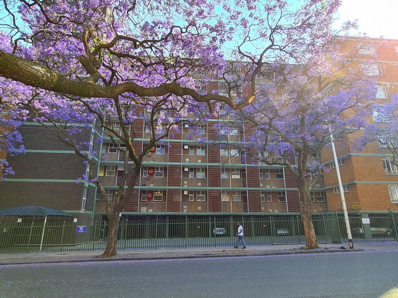 FULL TITLE RESIDENTIAL A-GRADE BUILDING IN SUNNYSIDE: IDEAL FOR STUDENT ACCOMMODATION - 315 BEDS - Photo 5