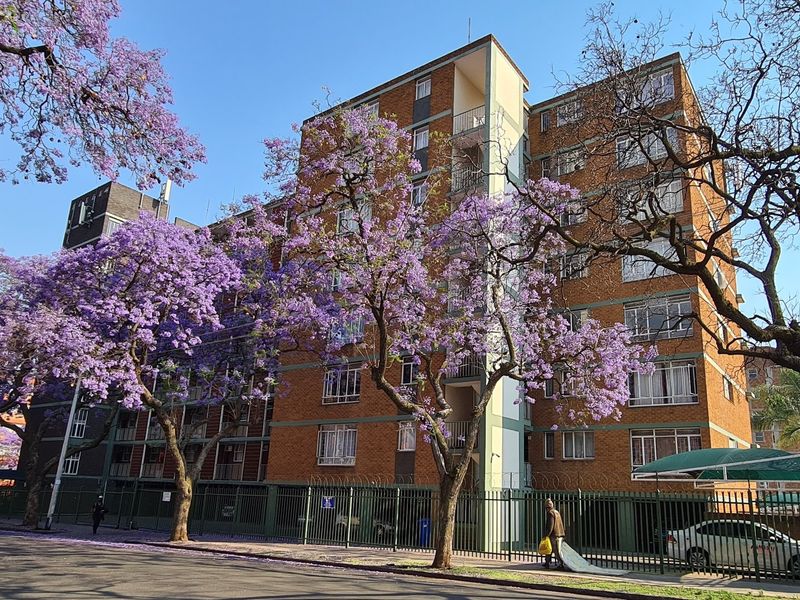 FULL TITLE RESIDENTIAL A-GRADE BUILDING IN SUNNYSIDE: IDEAL FOR STUDENT ACCOMMODATION - 315 BEDS - Photo 6
