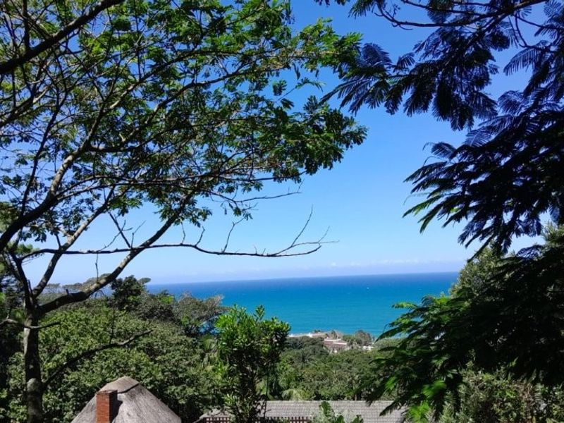 A Chance To Enter The Elite Market Of Southbroom With This Lovely Character Filled Family Home And Ocean Vistas That Will Leave You In Awe!!!!! - Photo 10