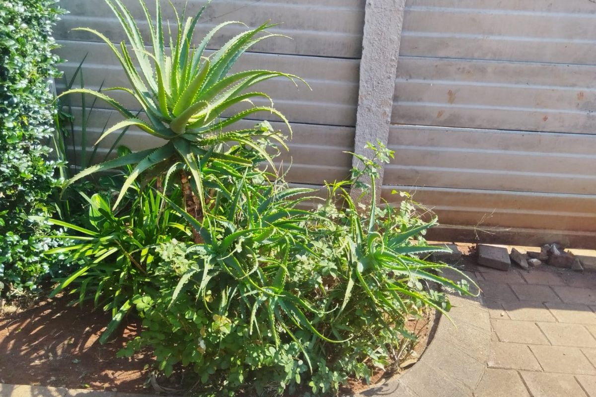 This is is in Golf Gardens Secrity Estate, garden facilities been taken care of on weekly basis - Photo 3