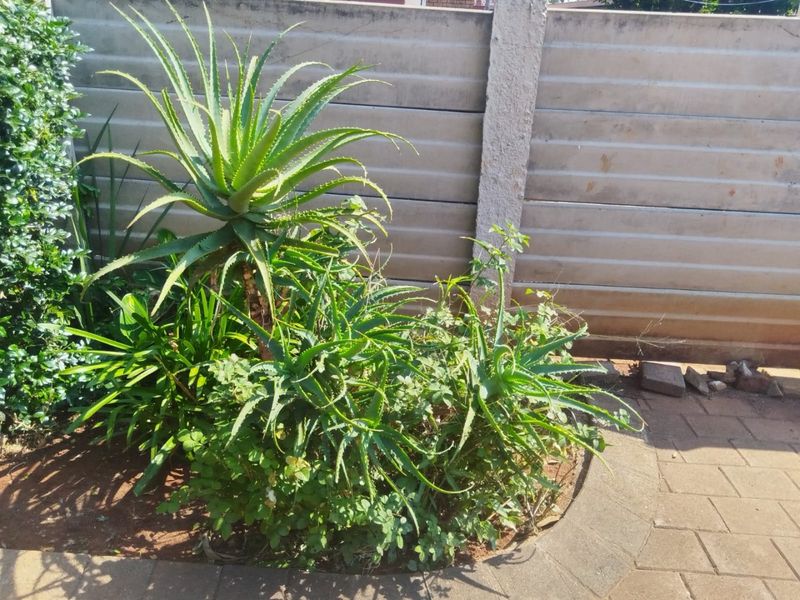 This is is in Golf Gardens Secrity Estate, garden facilities been taken care of on weekly basis - Photo 3