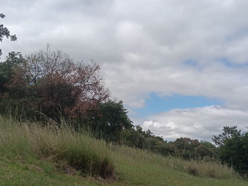 Erf For Sale in Haartebees - Photo 7