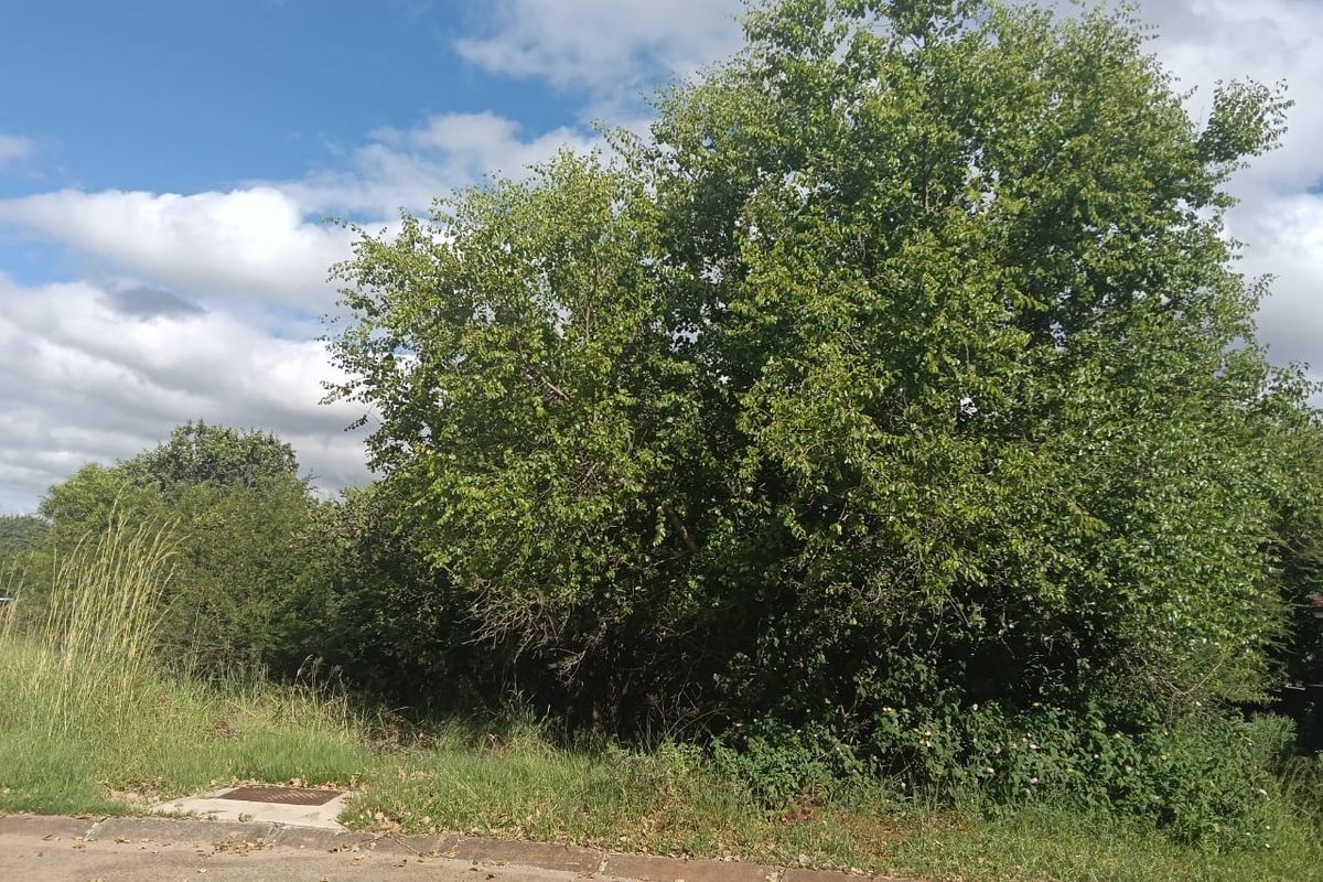 Erf For Sale in Haartebees - Photo 5