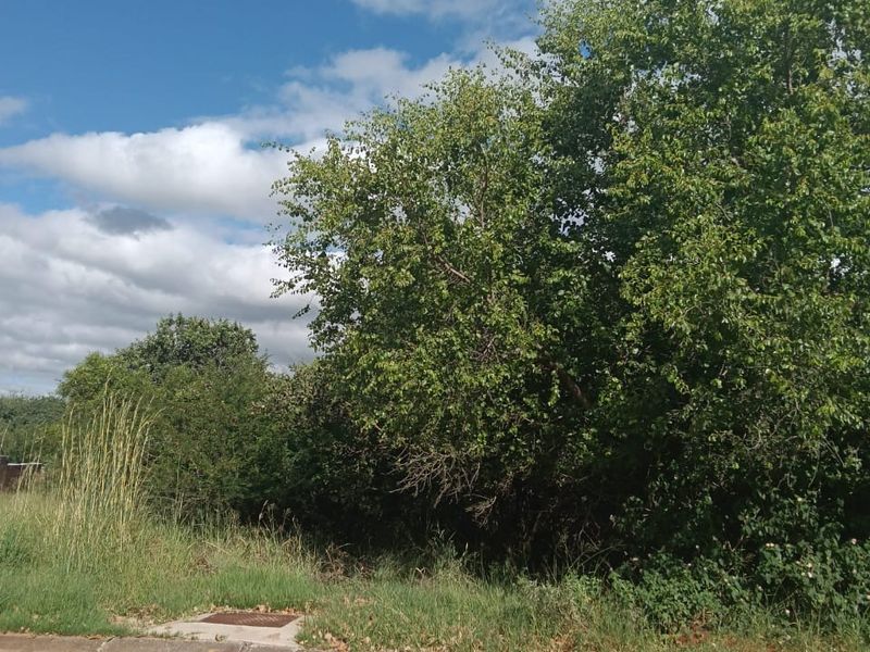 Erf For Sale in Haartebees - Photo 6