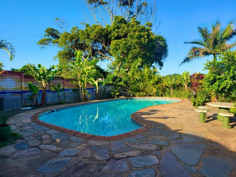 Outdoor pool area featuring a kidney-shaped swimming pool, natural stone paving, and a painted timber boundary fence surrounded by mature garden landscaping.