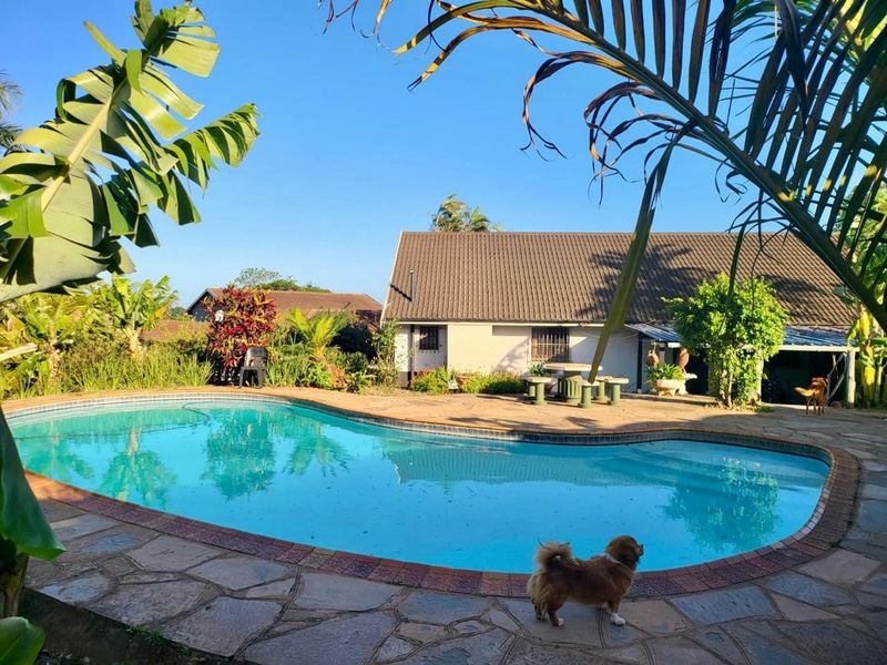 A sunny outdoor pool area featuring a swimming pool with stone paving and a covered patio attached to the main house structure.