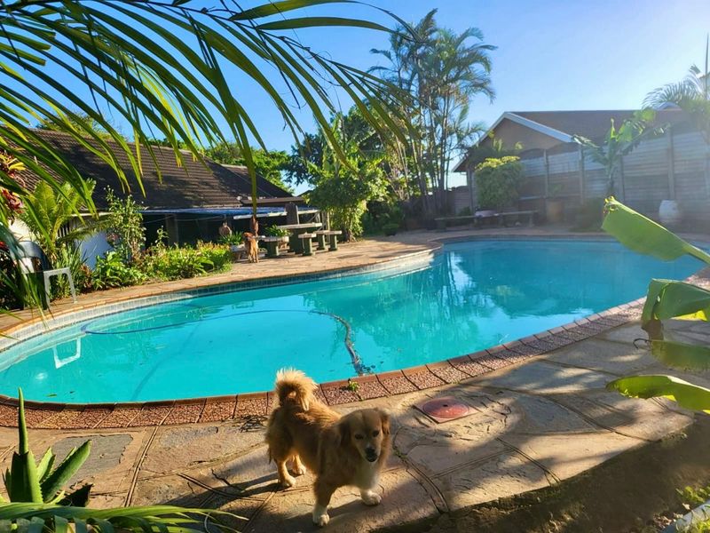 A backyard swimming pool area featuring a paved deck, brick coping, and established garden surroundings.