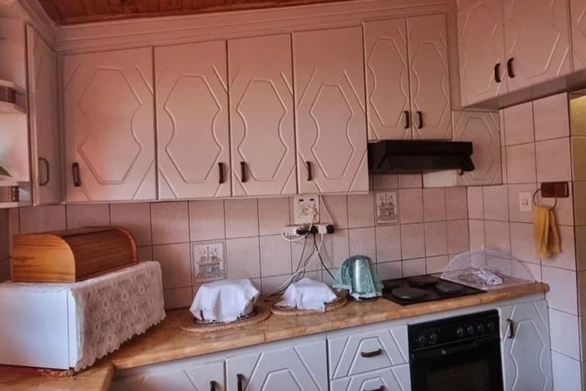 Find your Forever Home!!! - Photo 4