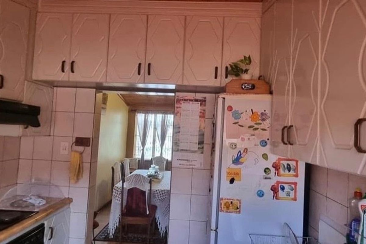 Find your Forever Home!!! - Photo 5