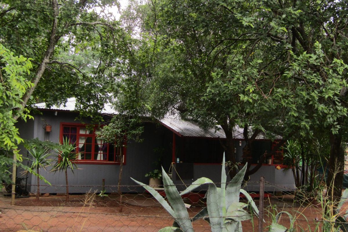 5,985m2 Smallholding with Income Potential – Cash Sale - Photo 4