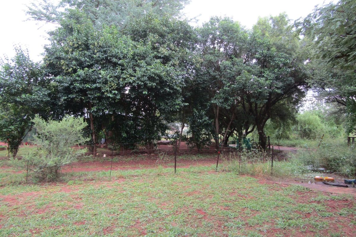 5,985m2 Smallholding with Income Potential – Cash Sale - Photo 5