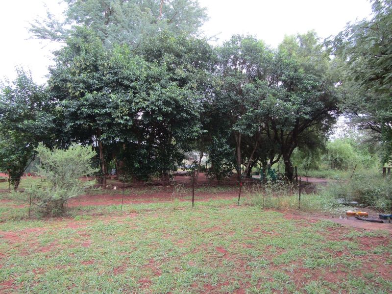 5,985m2 Smallholding with Income Potential – Cash Sale - Photo 5