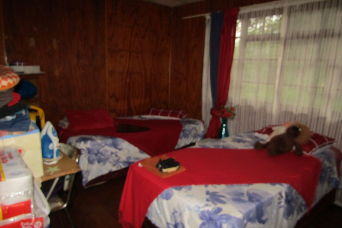 5,985m2 Smallholding with Income Potential – Cash Sale - Photo 3