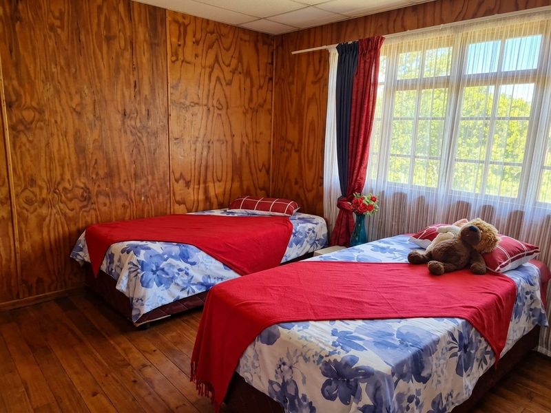 5,985m2 Smallholding with Income Potential – Cash Sale - Photo 4