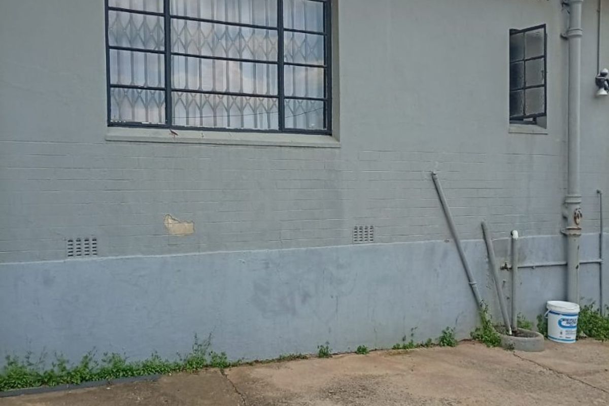 Rear exterior view of the property featuring brick masonry walls, steel-framed windows with security bars, and a concrete paved area.