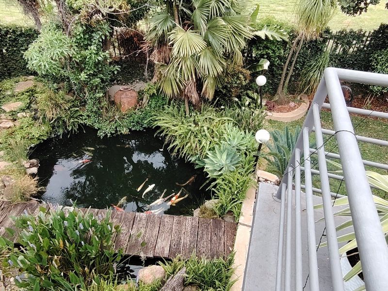 Elegant 500m2 Executive Residence with Private 1-Bedroom Income-Generating Flatlet – Rooihuiskraal, Centurion. - Photo 5