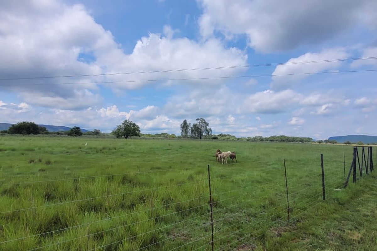 Farm for sale Rankins Pass - Photo 4