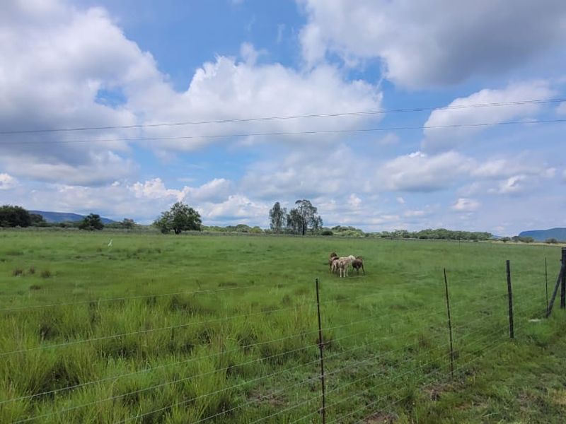 Farm for sale Rankins Pass - Photo 4