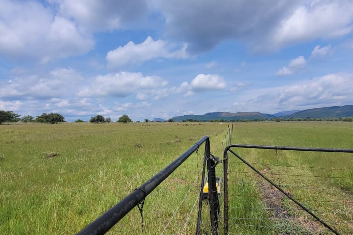 Farm for sale Rankins Pass - Photo 2